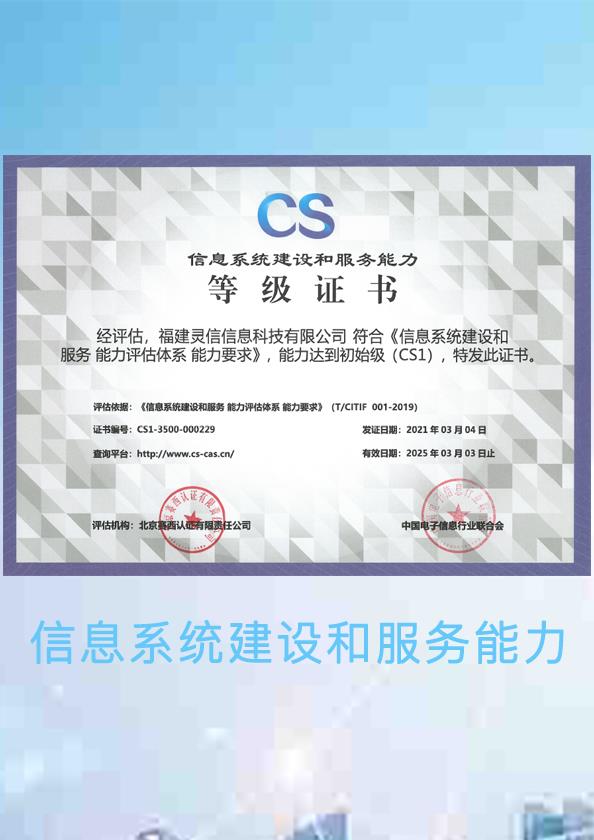 信息系統建設和服務能力